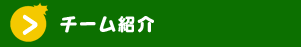 チーム紹介